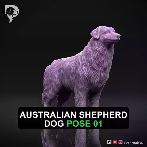Dog 3D Print Model Australian Shepherd Dog Pose 01 Ready STL 3D print model