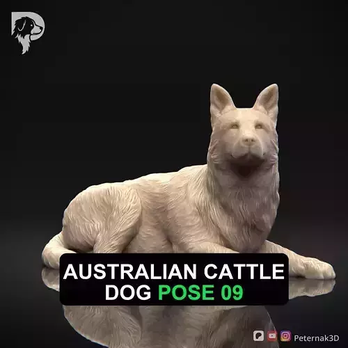 Dog 3D Print Model Australian Cattle Dog Pose 09 Print Ready STL