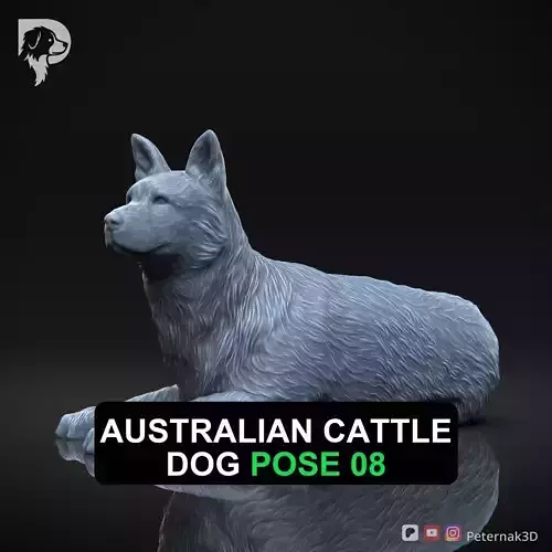 Dog 3D Print Model Australian Cattle Dog Pose 08 Print Ready STL