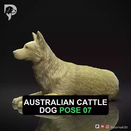 Dog 3D Print Model Australian Cattle Dog Pose 07 Print Ready STL