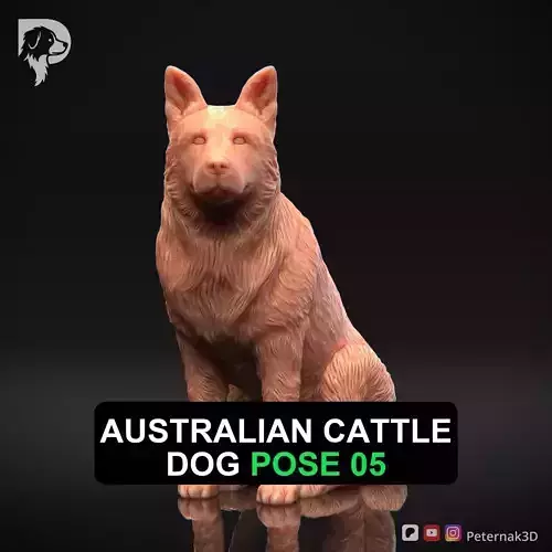 Dog 3D Print Model Australian Cattle Dog Pose 05 Print Ready STL