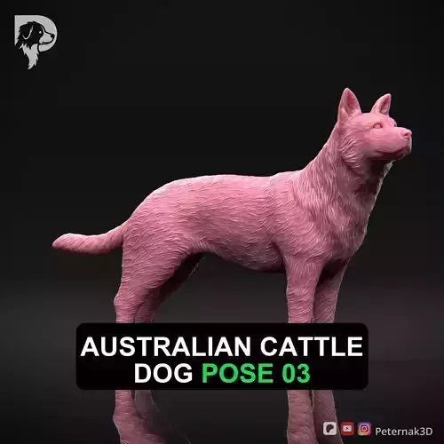 Dog 3D Print Model Australian Cattle Dog Pose 03 Print Ready STL