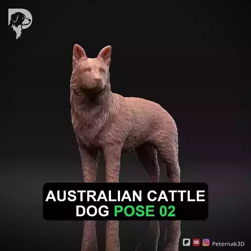 Dog 3D Print Model Australian Cattle Dog Pose 02 Print Ready STL