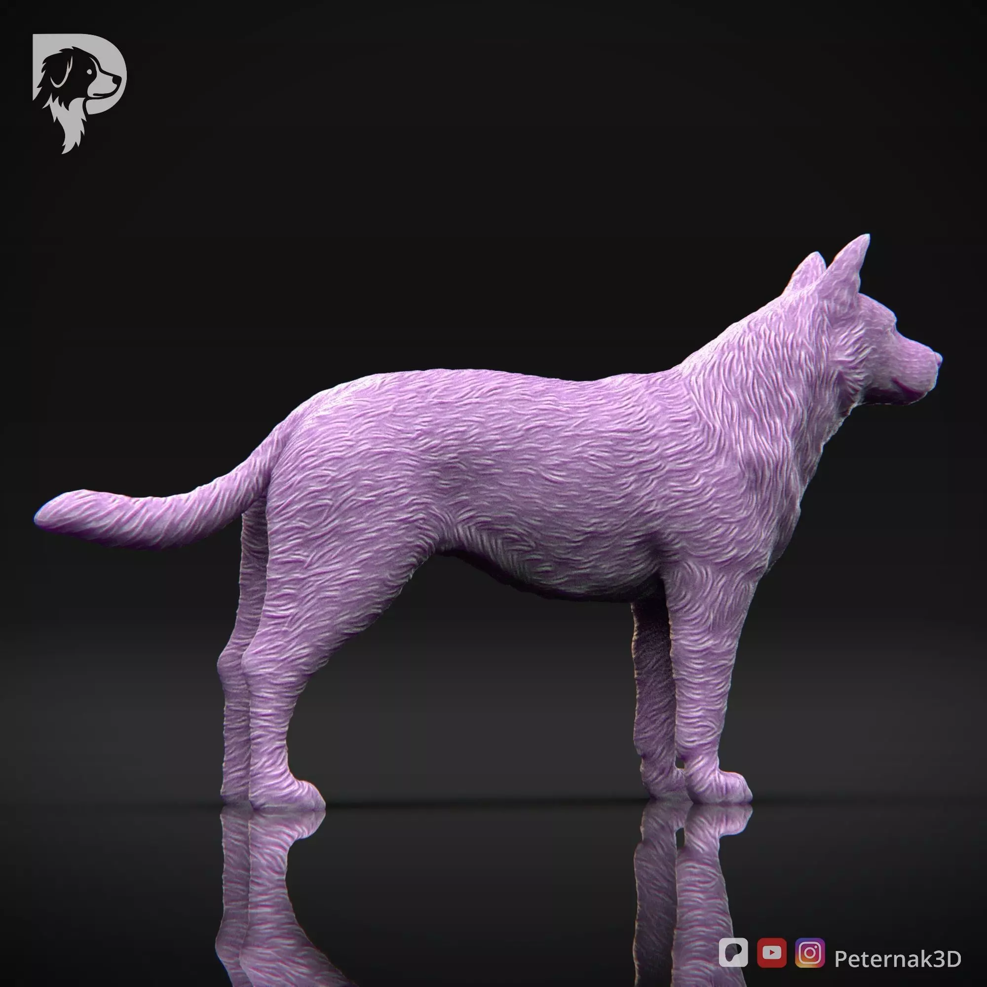 Dog 3D Print Model Australian Cattle Dog Pose 01 Print Ready STL 3D print model_8