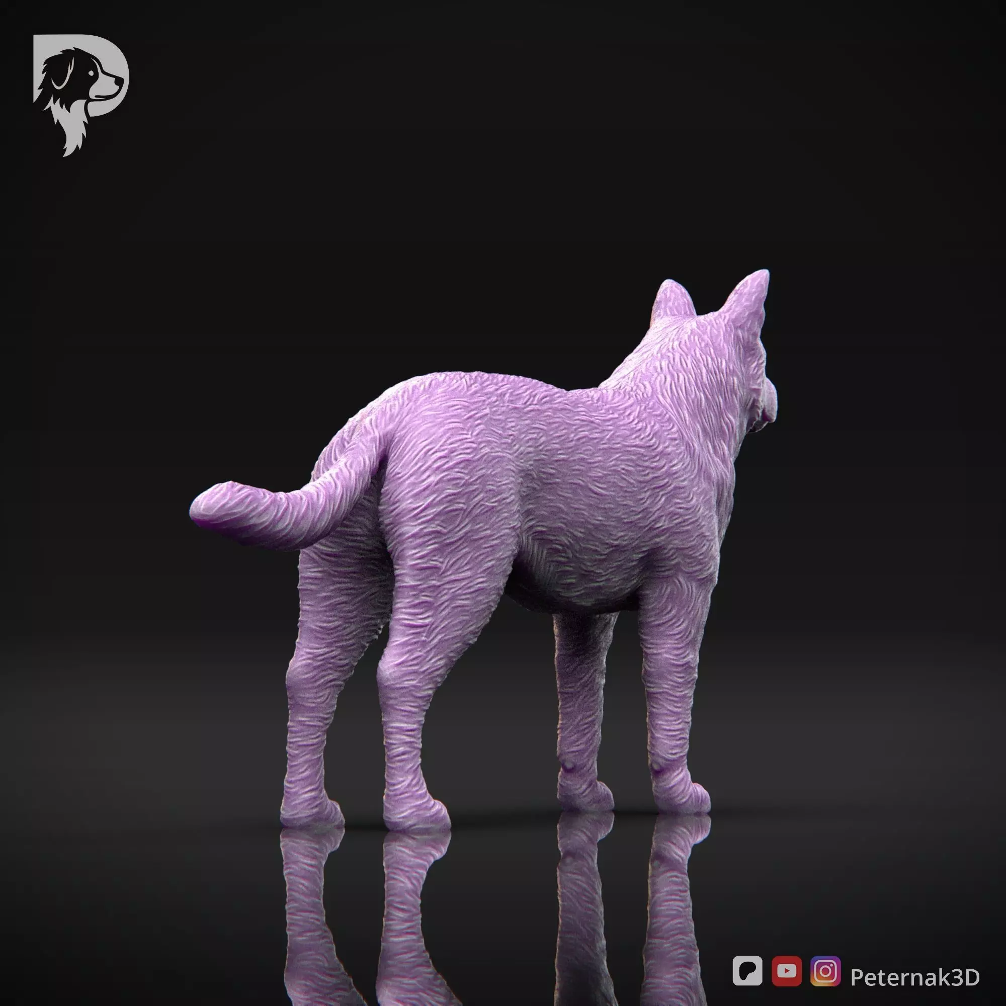 Dog 3D Print Model Australian Cattle Dog Pose 01 Print Ready STL 3D print model_9