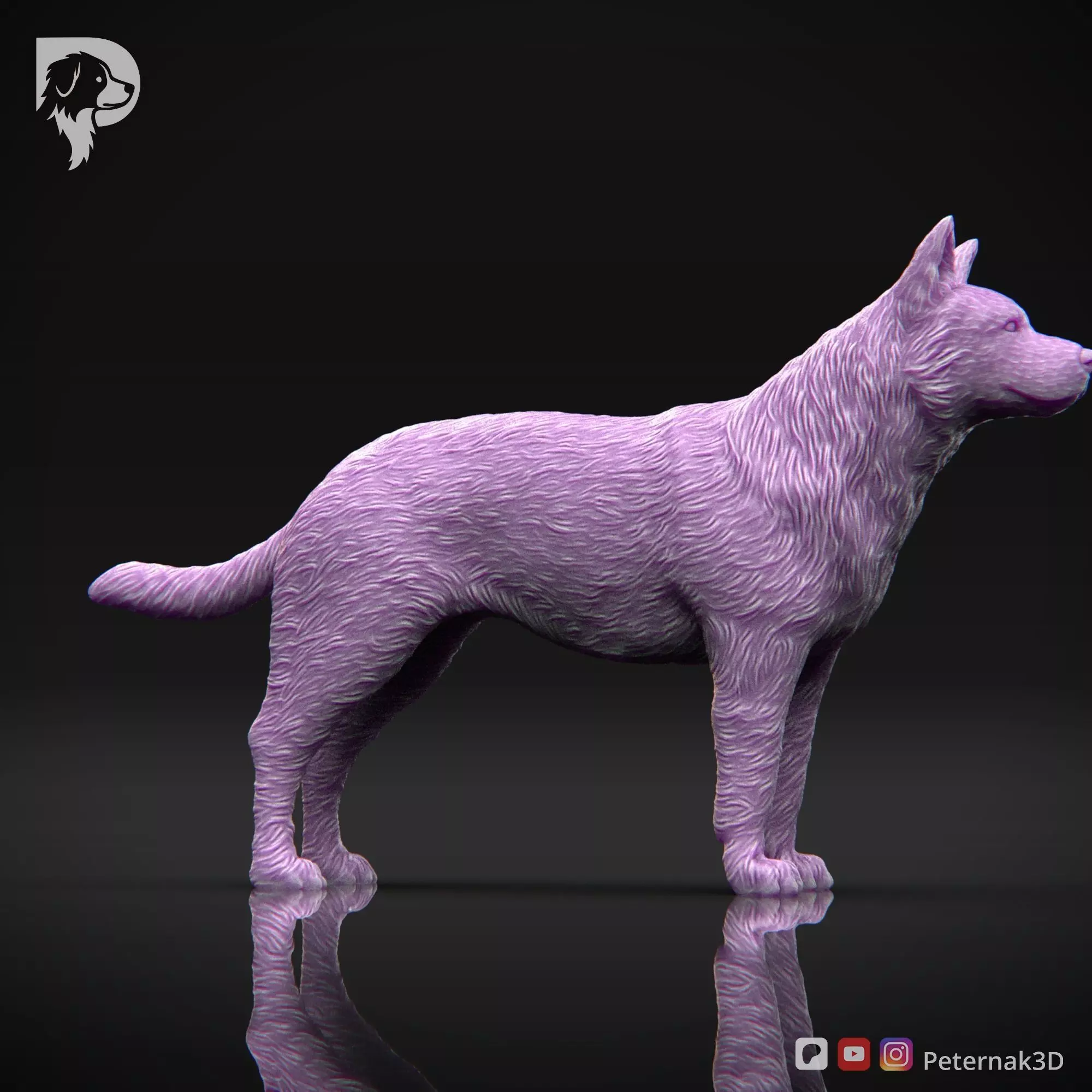 Dog 3D Print Model Australian Cattle Dog Pose 01 Print Ready STL 3D print model_6