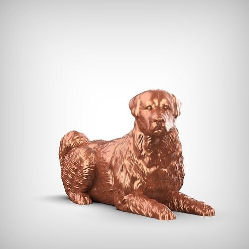 Anatolian Shepherd Dog 3D Print Model Pose 09 3D print model