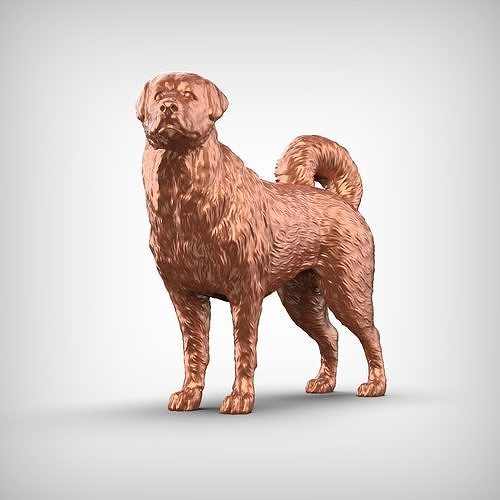 Anatolian Shepherd Dog 3D Print Model Pose 02 3D print model
