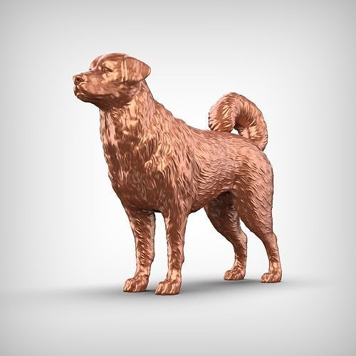 Anatolian Shepherd Dog 3D Print Model Pose 01 3D print model