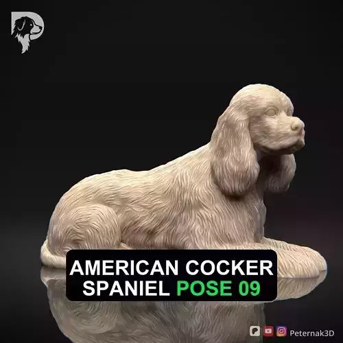 Dog 3D Print Model American Cocker Spaniel Pose 09 Ready STL