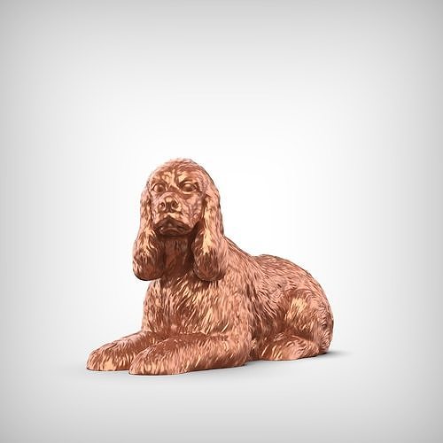 American Cocker Spaniel 3D Print Model Pose 08 3D print model