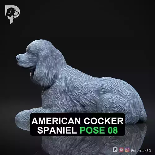 Dog 3D Print Model American Cocker Spaniel Pose 08 Ready STL