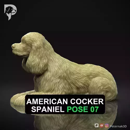Dog 3D Print Model American Cocker Spaniel Pose 07 Ready STL
