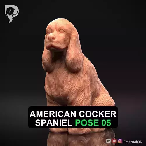 Dog 3D Print Model American Cocker Spaniel Pose 05 Ready STL