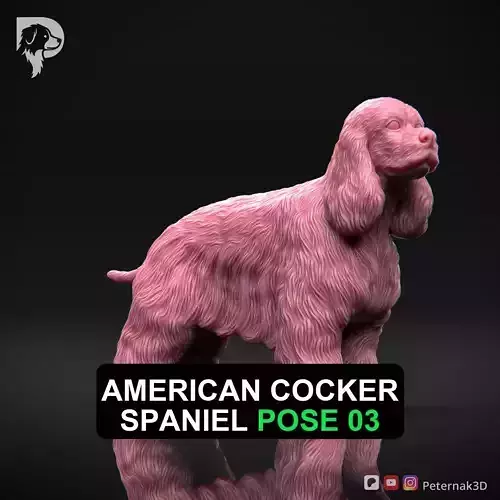 Dog 3D Print Model American Cocker Spaniel Pose 03 Ready STL