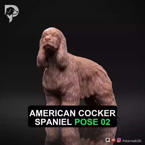 Dog 3D Print Model American Cocker Spaniel Pose 02 Ready STL