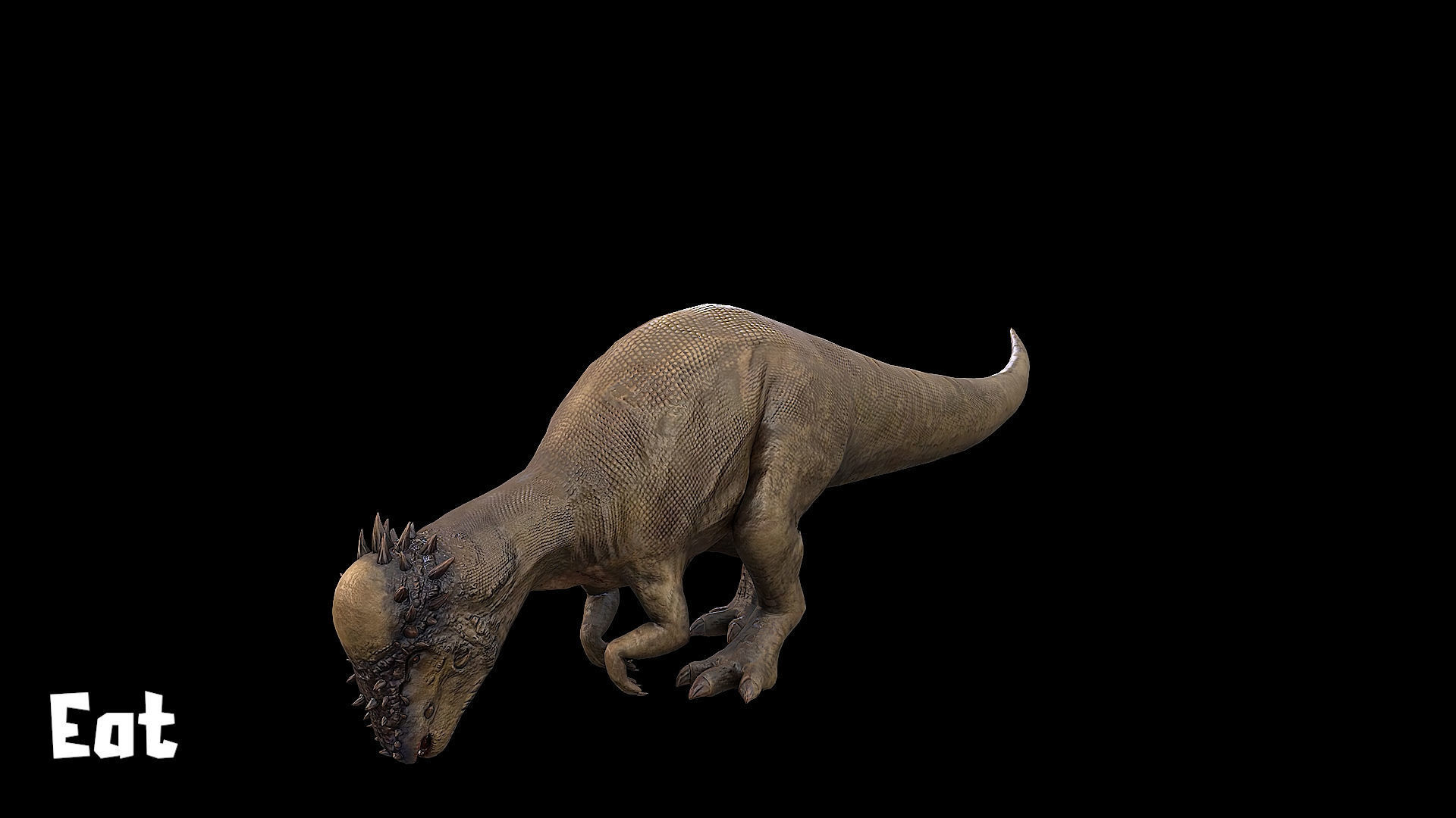Pachycephalosaurus - Thick-Headed Lizard Low-poly 3D model_16
