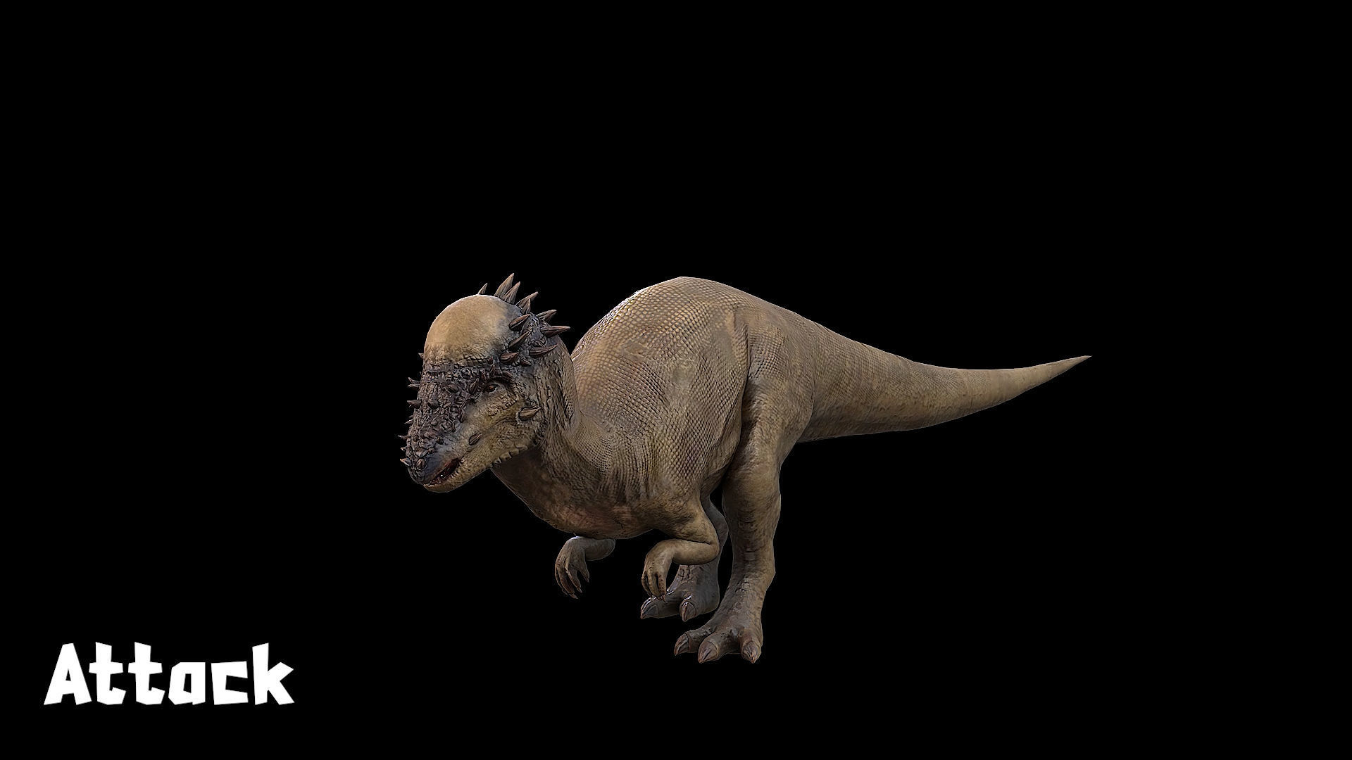 Pachycephalosaurus - Thick-Headed Lizard Low-poly 3D model_24