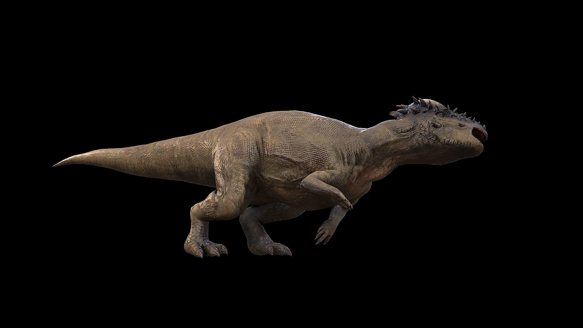 Pachycephalosaurus - Thick-Headed Lizard Low-poly 3D model_34