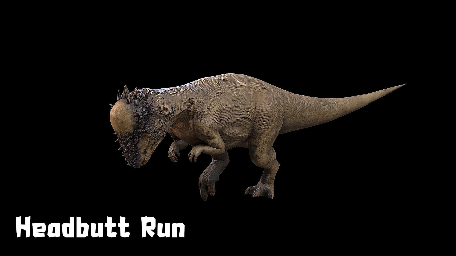 Pachycephalosaurus - Thick-Headed Lizard Low-poly 3D model_17