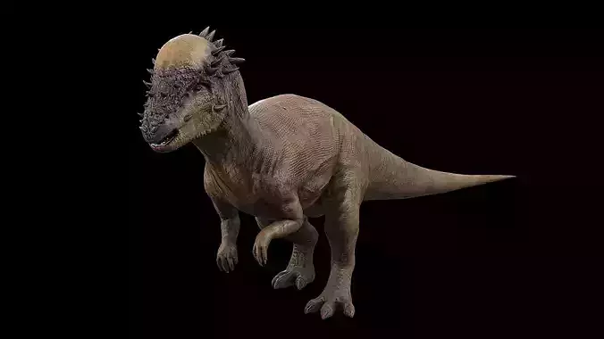 Pachycephalosaurus - Thick-Headed Lizard Low-poly 3D model