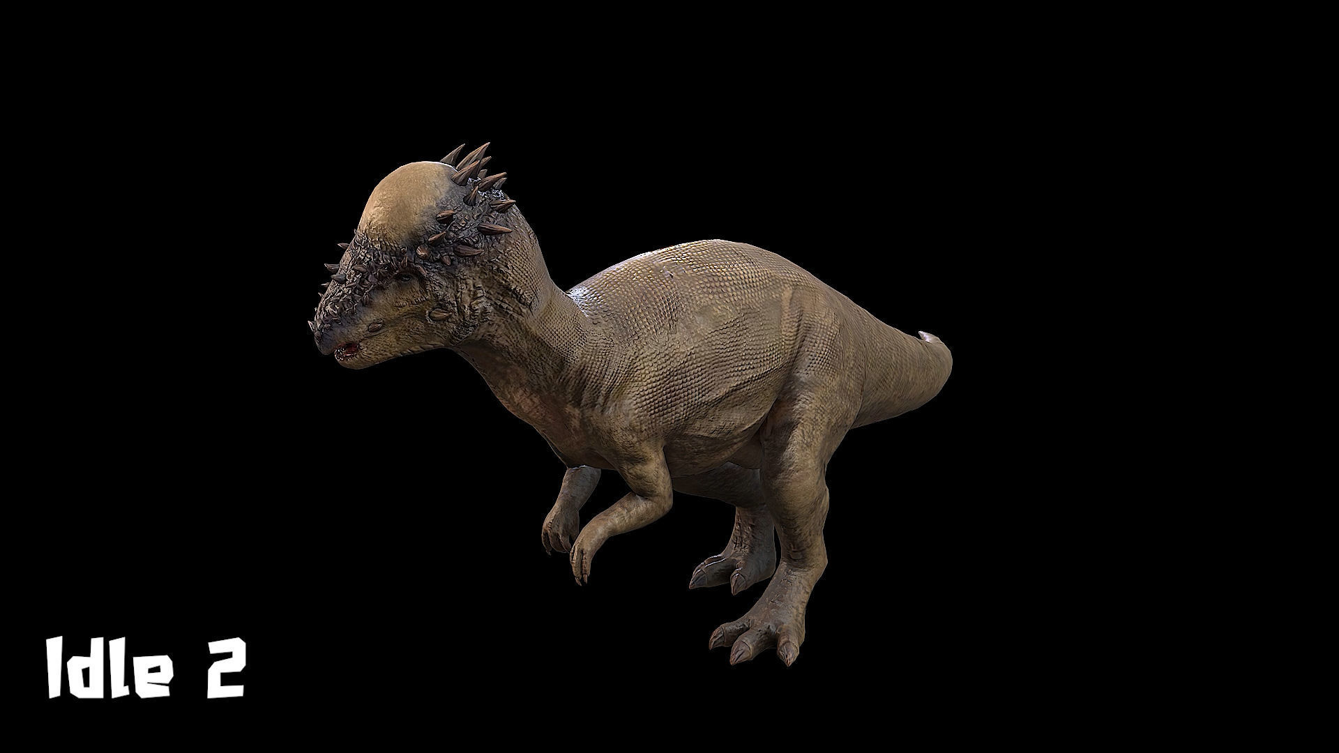 Pachycephalosaurus - Thick-Headed Lizard Low-poly 3D model_10