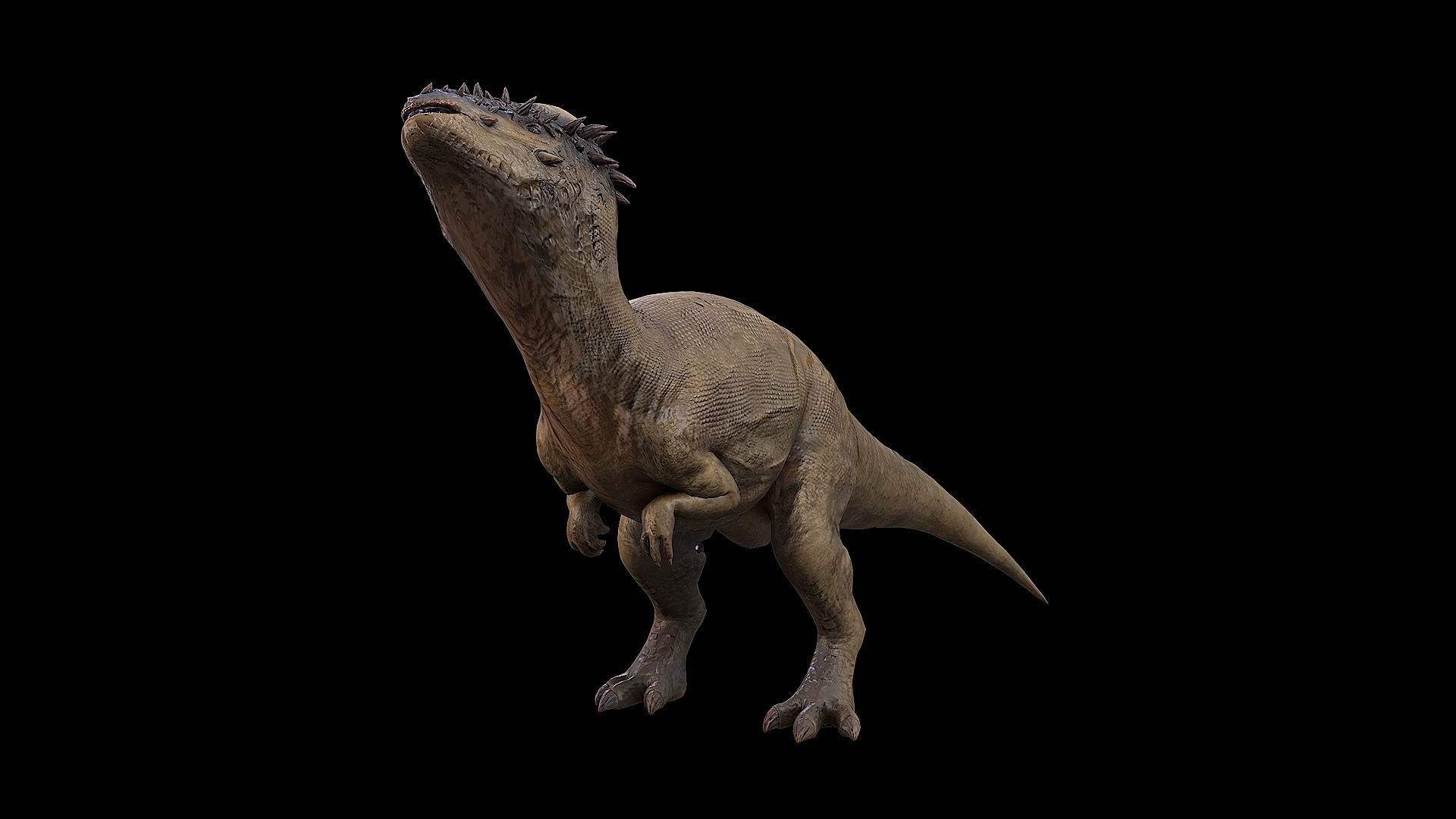 Pachycephalosaurus - Thick-Headed Lizard Low-poly 3D model_29