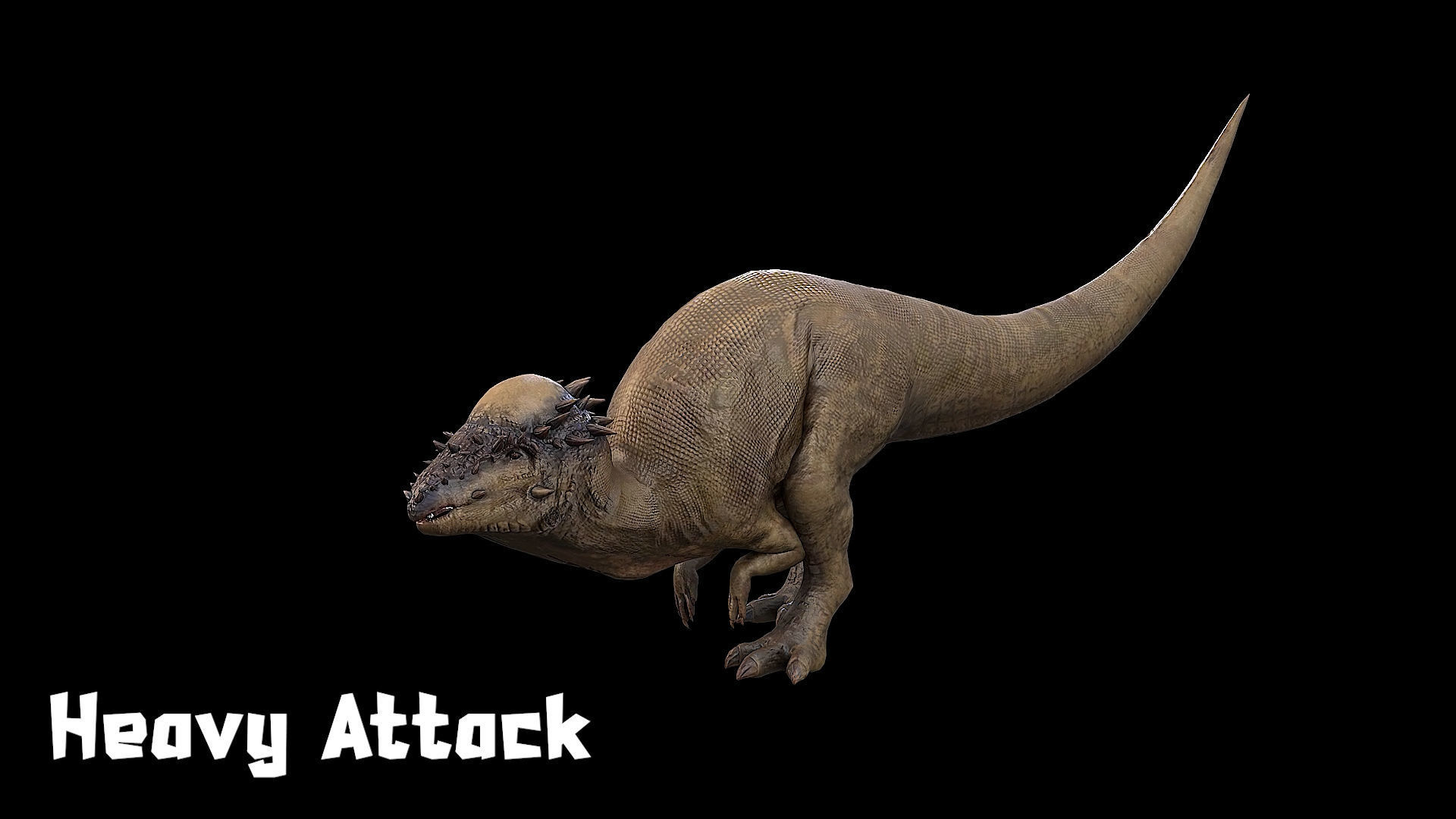 Pachycephalosaurus - Thick-Headed Lizard Low-poly 3D model_23