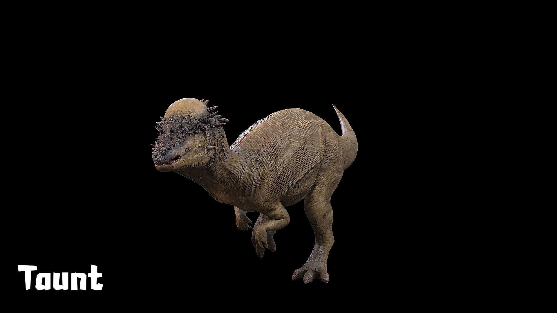 Pachycephalosaurus - Thick-Headed Lizard Low-poly 3D model_25
