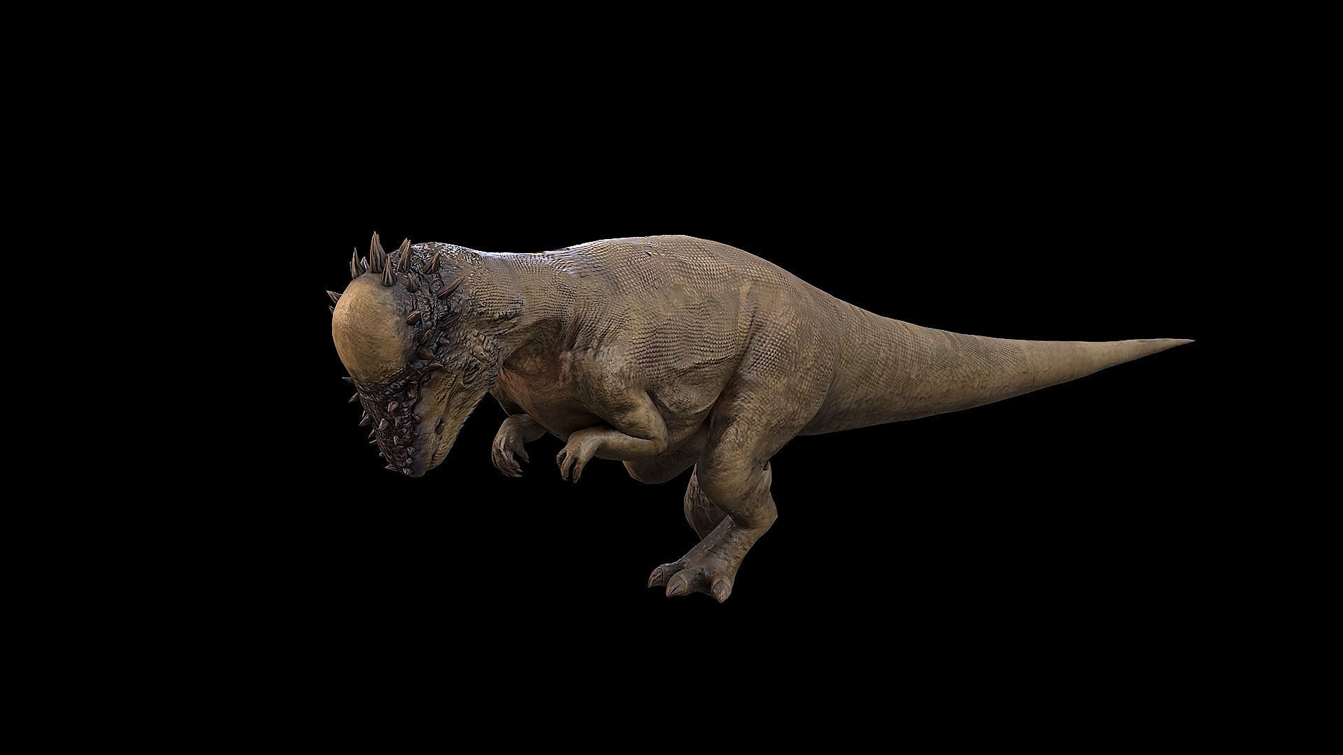 Pachycephalosaurus - Thick-Headed Lizard Low-poly 3D model_35