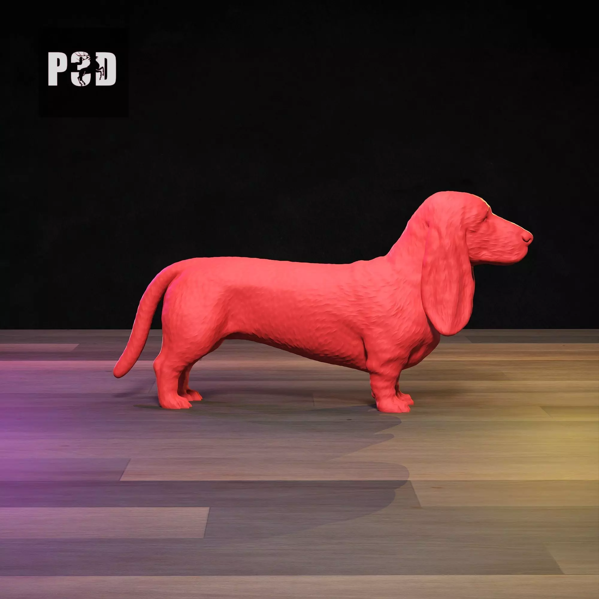 Basset Hound 3D Print Model Pose 01 3D print model_3