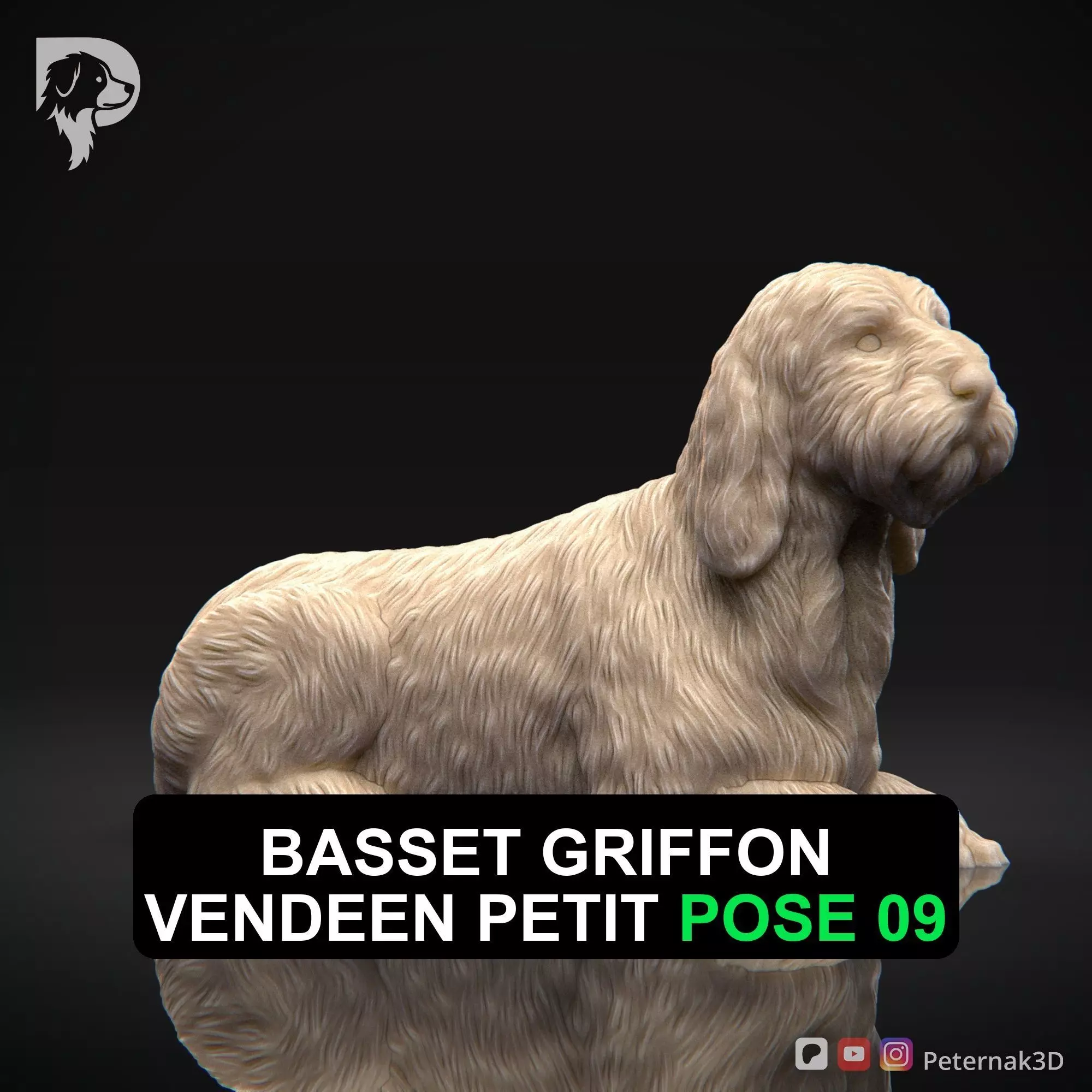 Dog 3D Print Model Basset Griffon Vendeen Petit Pose 09 STL 3D print model
