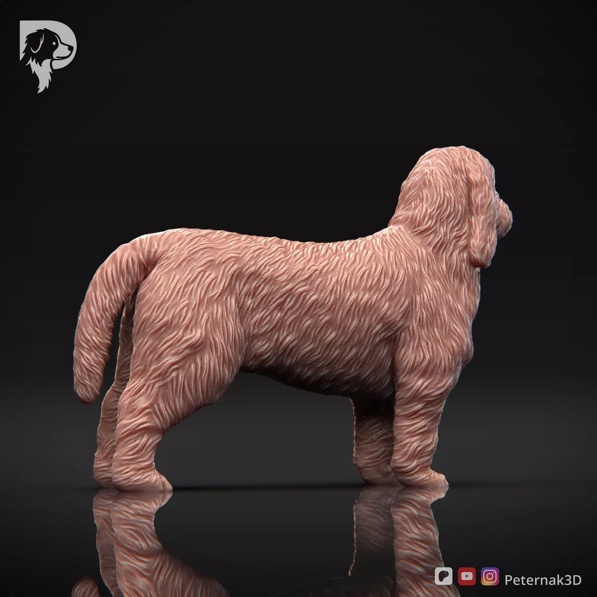 Dog 3D Print Model Basset Griffon Vendeen Petit  Pose 02 STL 3D print model_5