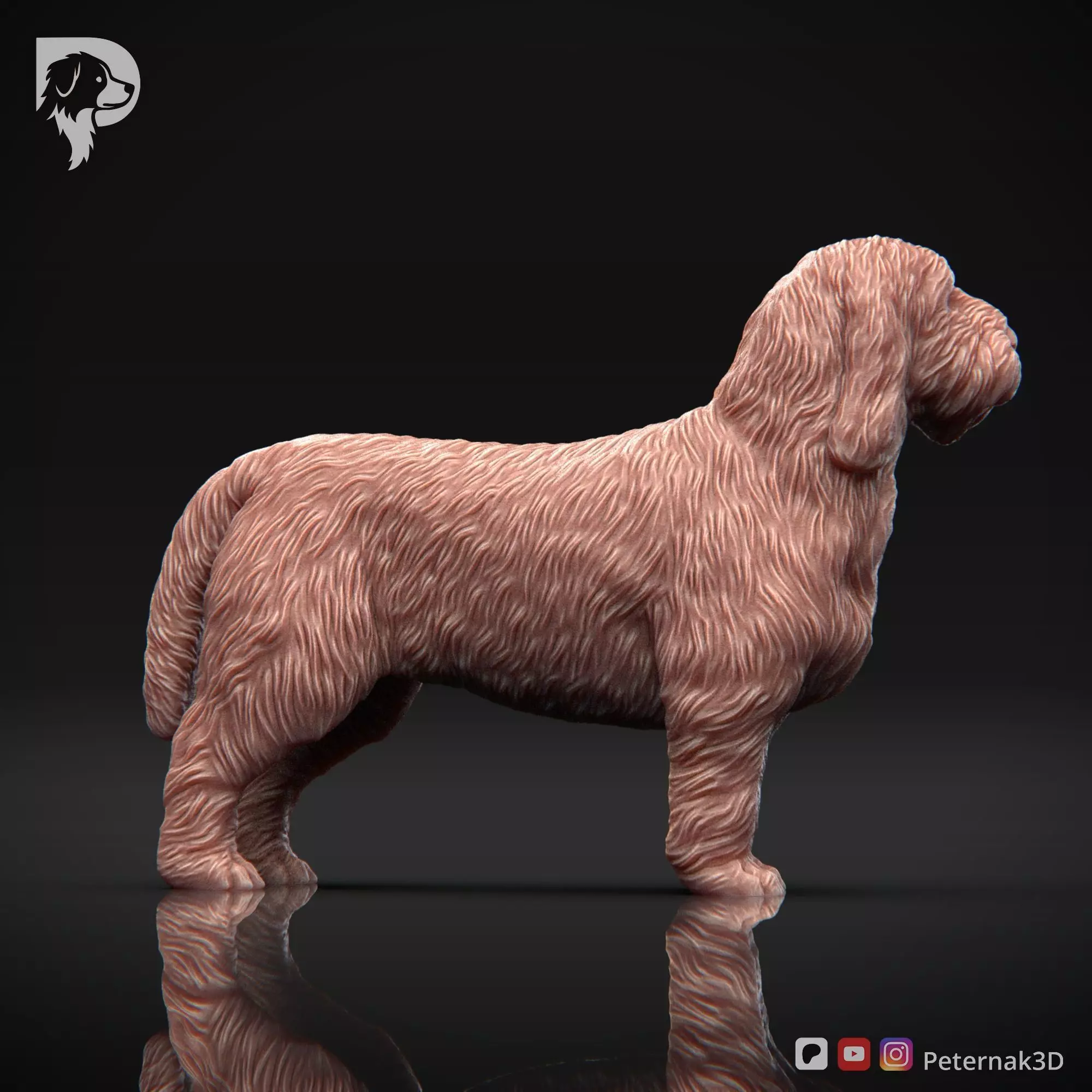 Dog 3D Print Model Basset Griffon Vendeen Petit  Pose 02 STL 3D print model_4