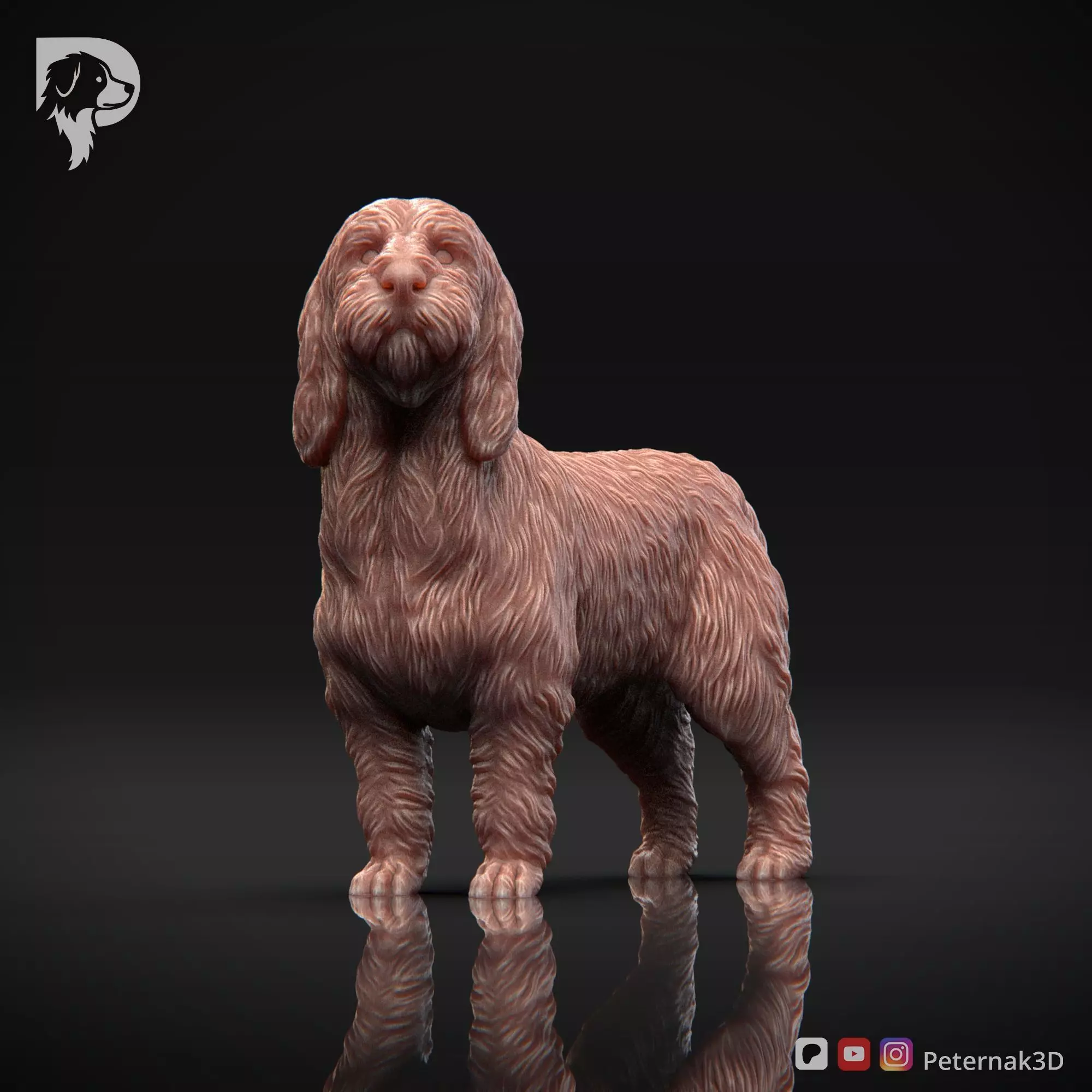 Dog 3D Print Model Basset Griffon Vendeen Petit  Pose 02 STL 3D print model_11