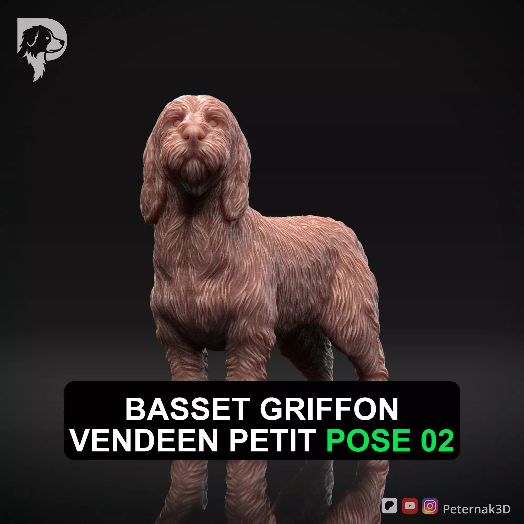 Dog 3D Print Model Basset Griffon Vendeen Petit  Pose 02 STL 3D print model_0
