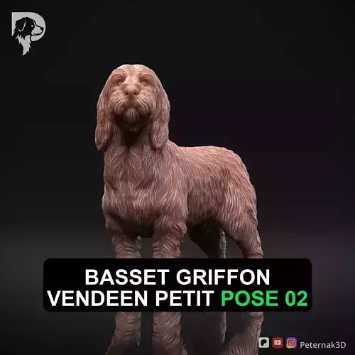 Basset Griffon Vendeen Petit 3D Print Model Pose 02