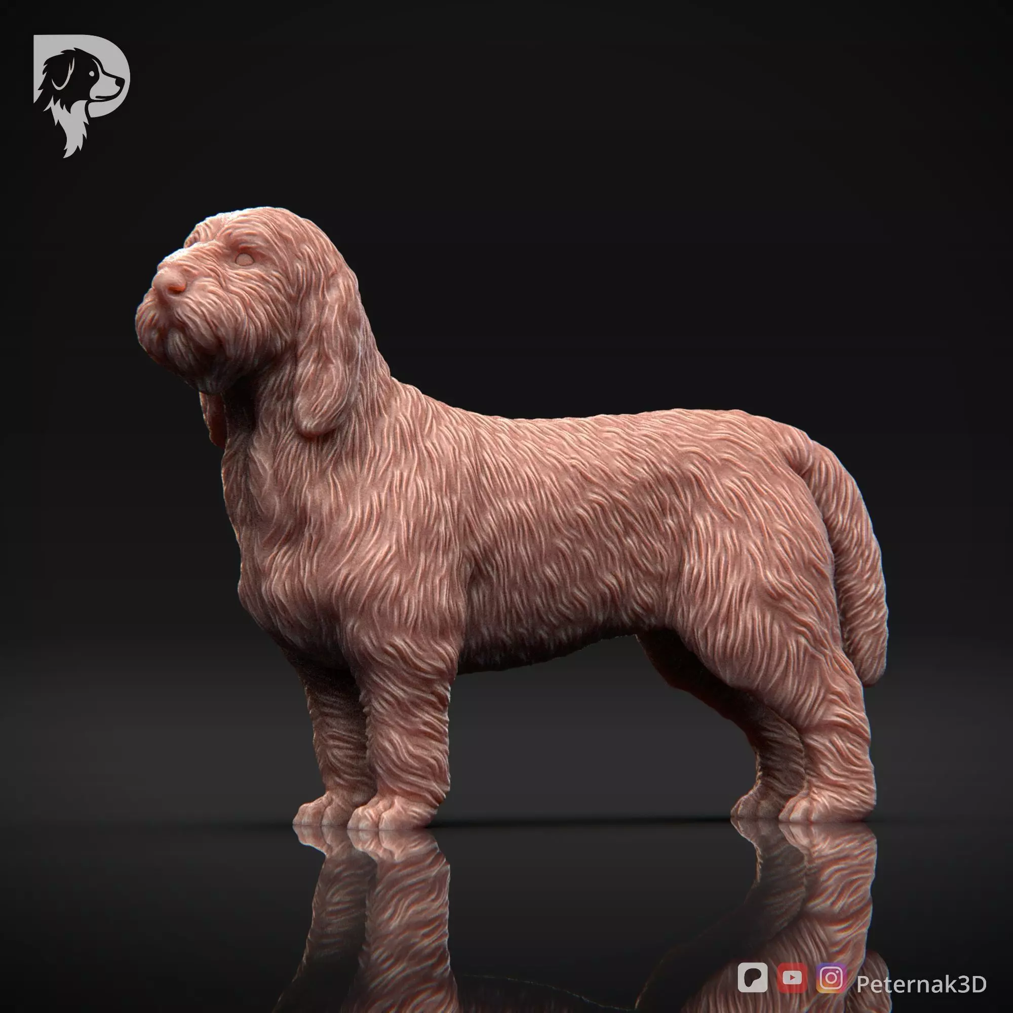 Dog 3D Print Model Basset Griffon Vendeen Petit  Pose 02 STL 3D print model_10