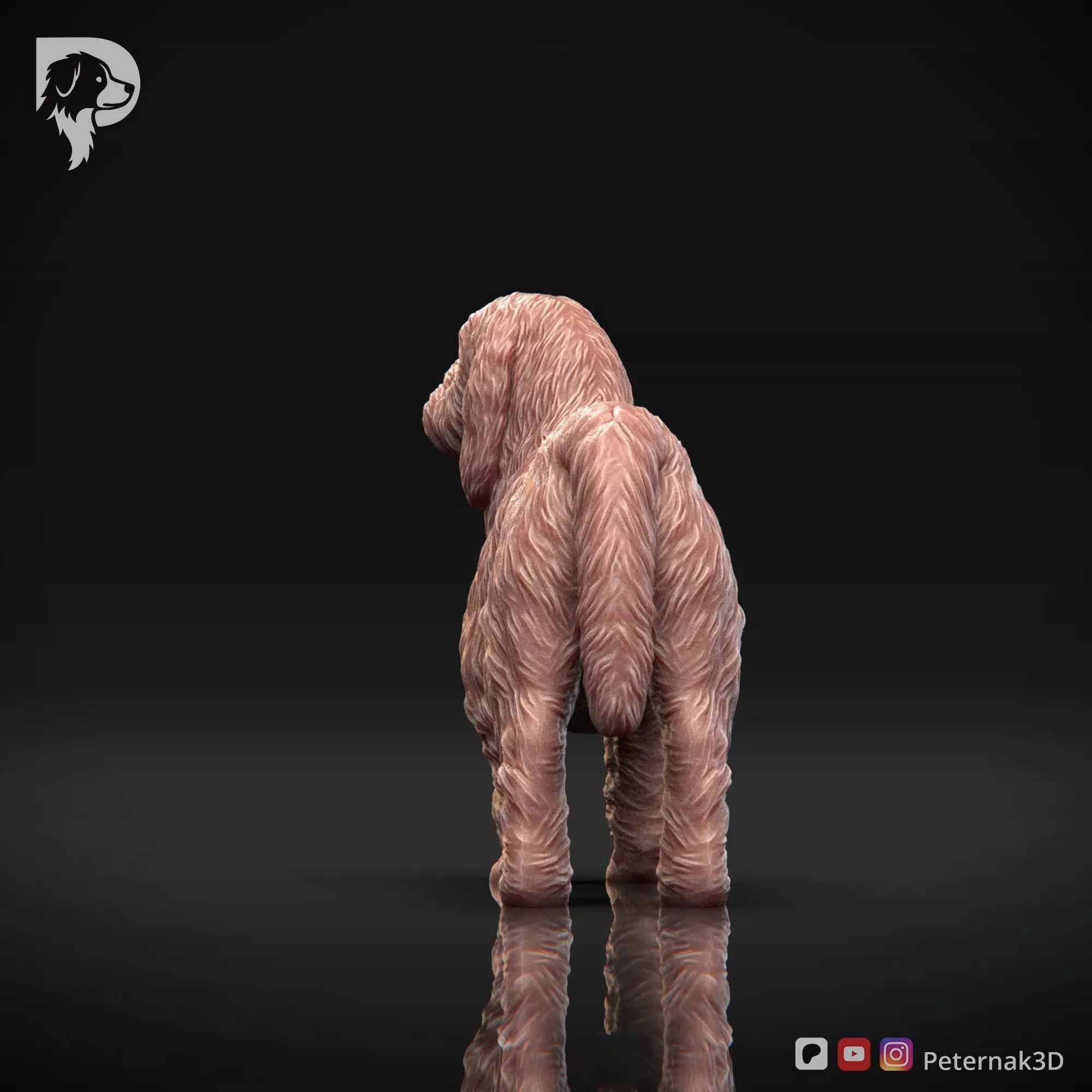 Dog 3D Print Model Basset Griffon Vendeen Petit  Pose 02 STL 3D print model_7