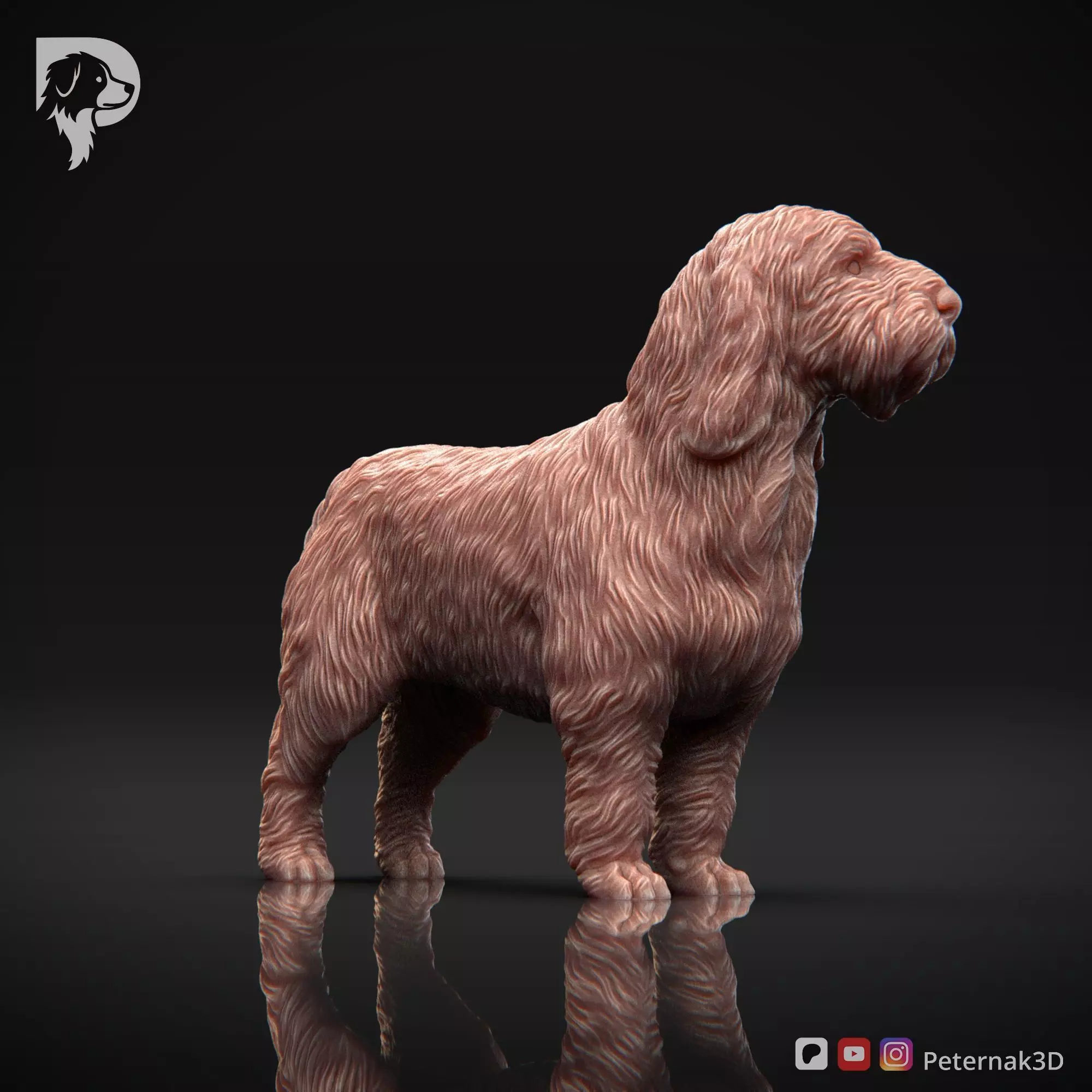Dog 3D Print Model Basset Griffon Vendeen Petit  Pose 02 STL 3D print model_3