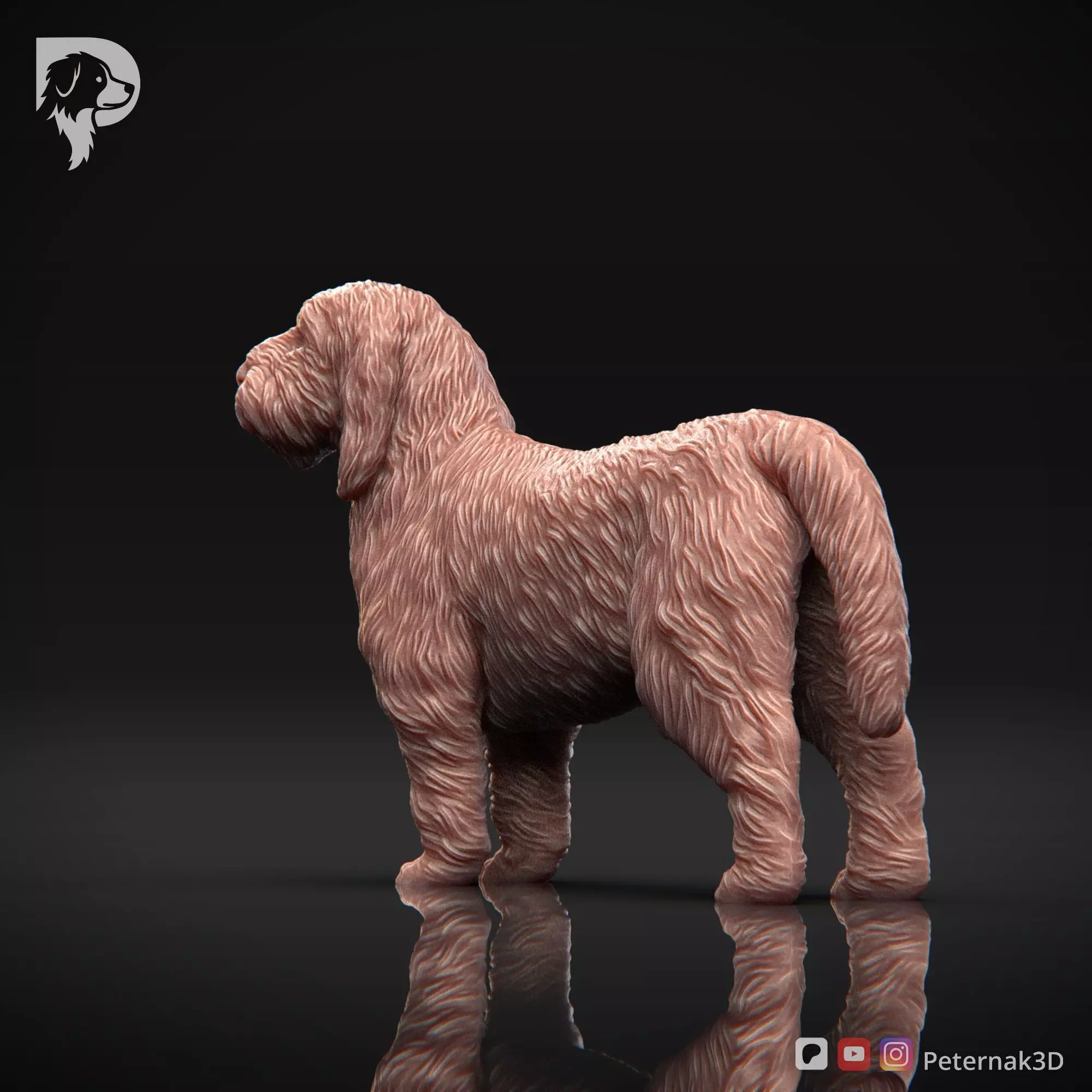 Dog 3D Print Model Basset Griffon Vendeen Petit  Pose 02 STL 3D print model_8