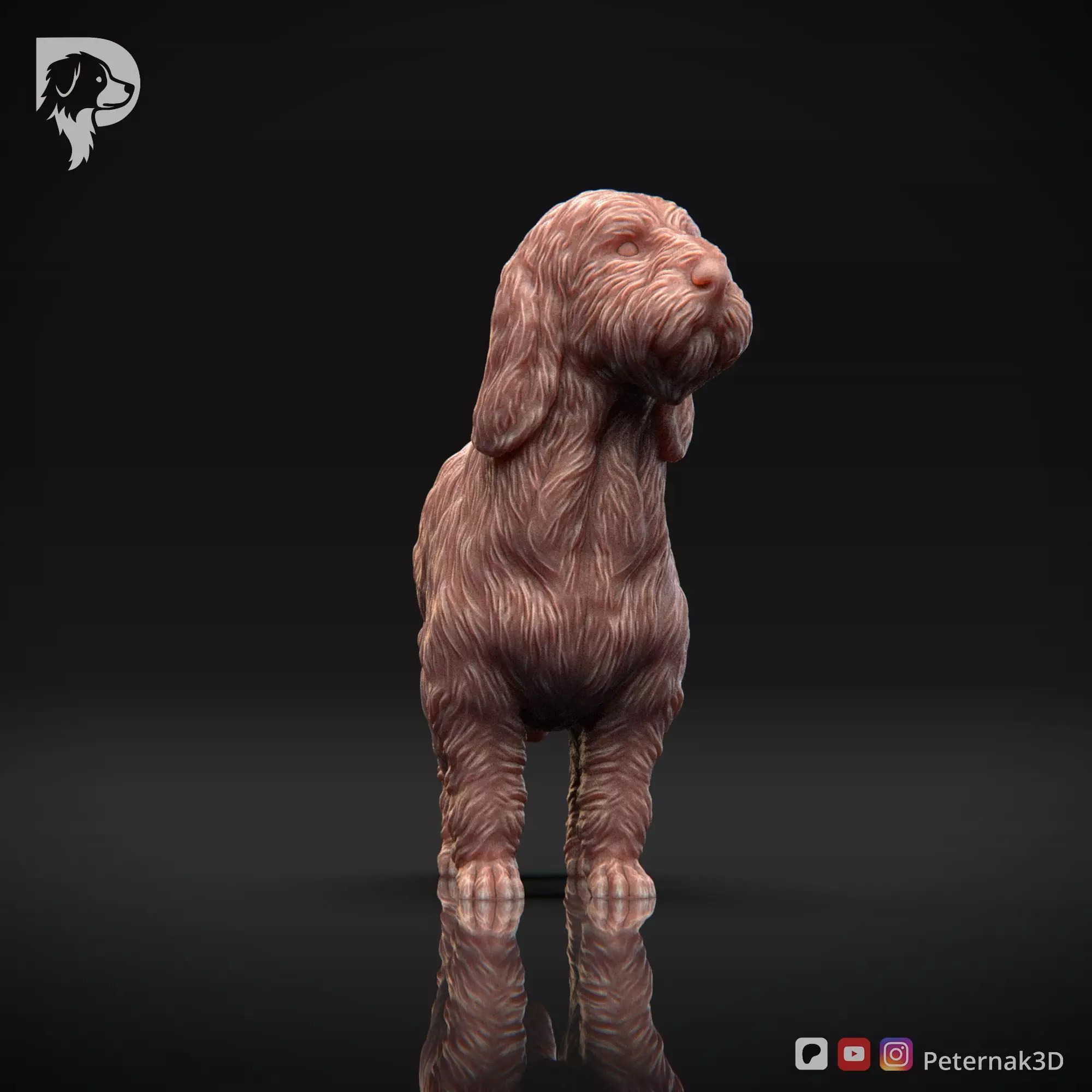 Dog 3D Print Model Basset Griffon Vendeen Petit  Pose 02 STL 3D print model_2