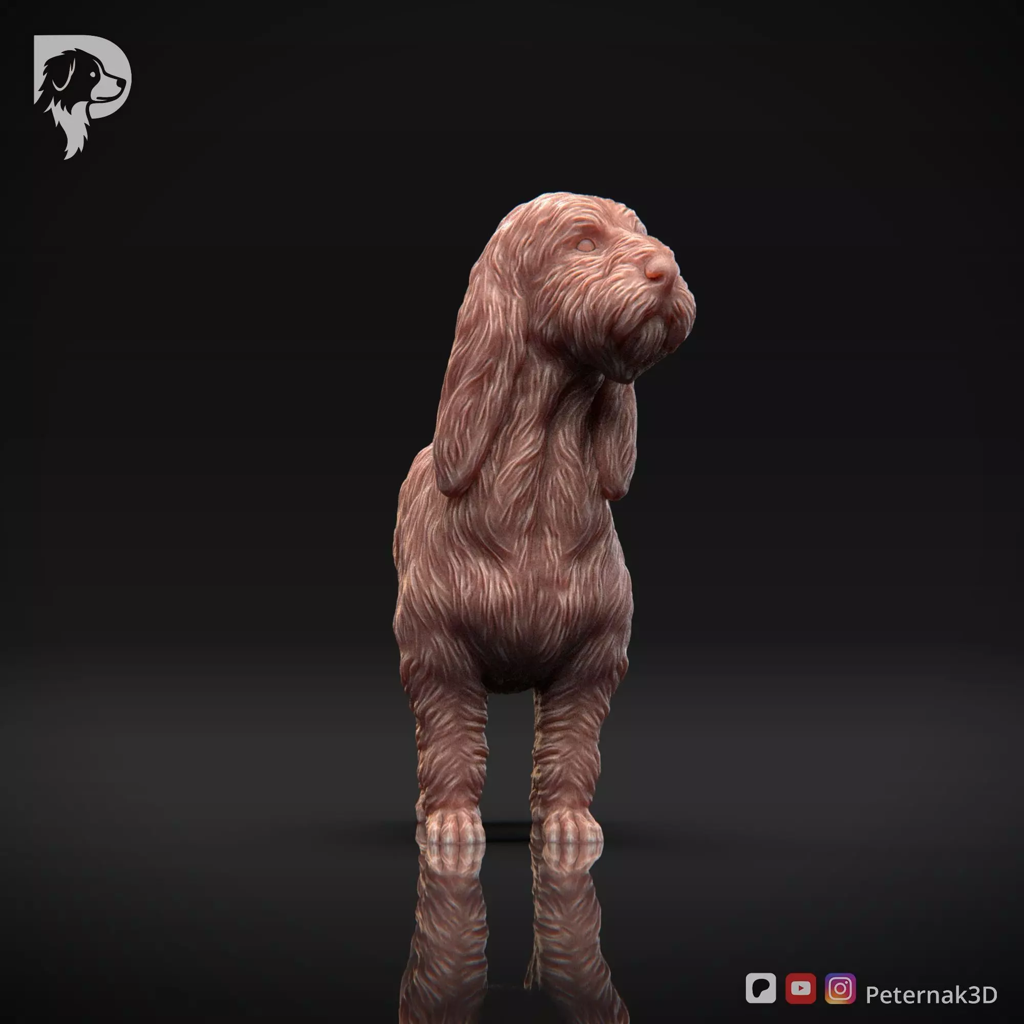 Dog 3D Print Model Basset Griffon Vendeen Grand Pose 02 STL 3D print model_2