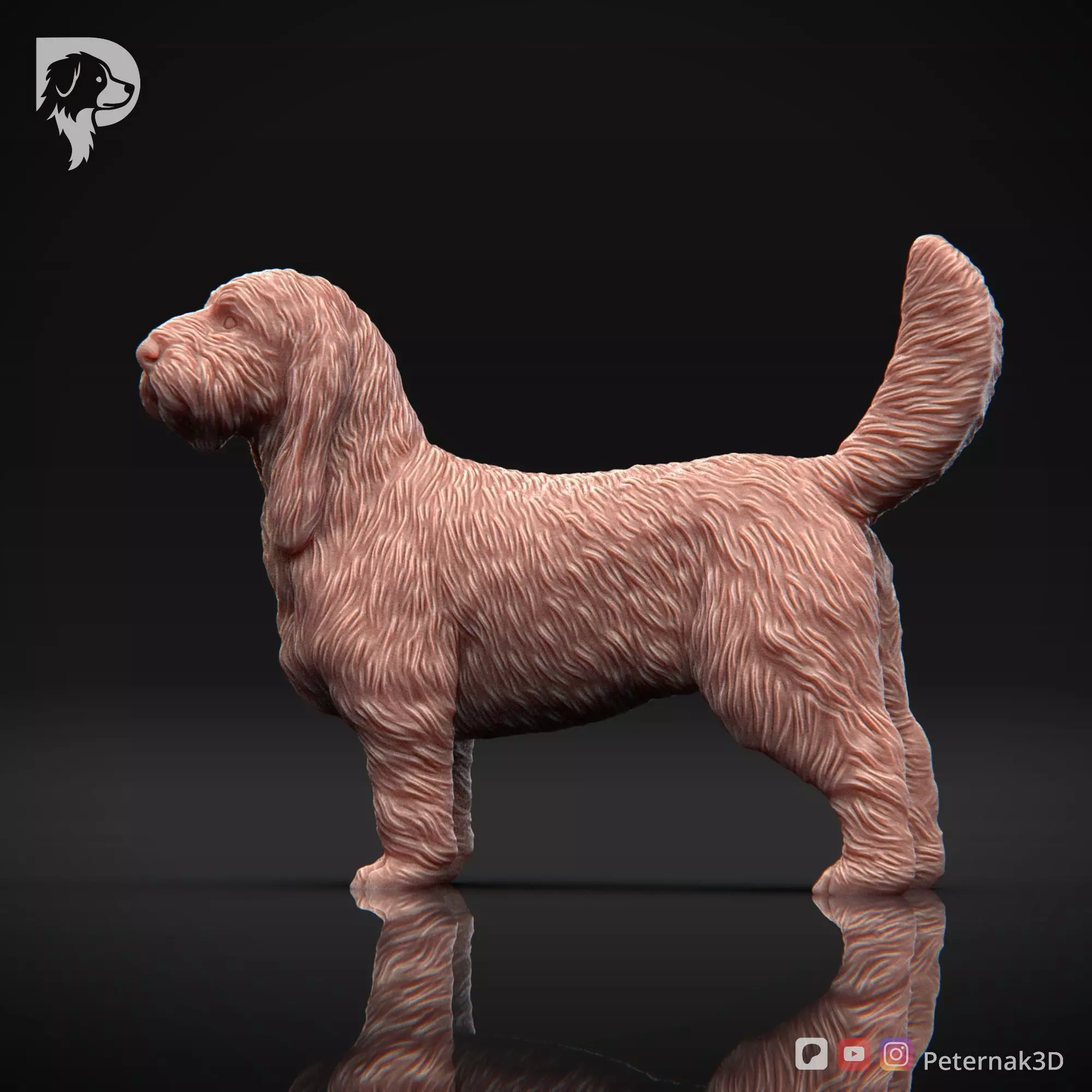 Dog 3D Print Model Basset Griffon Vendeen Grand Pose 02 STL 3D print model_9