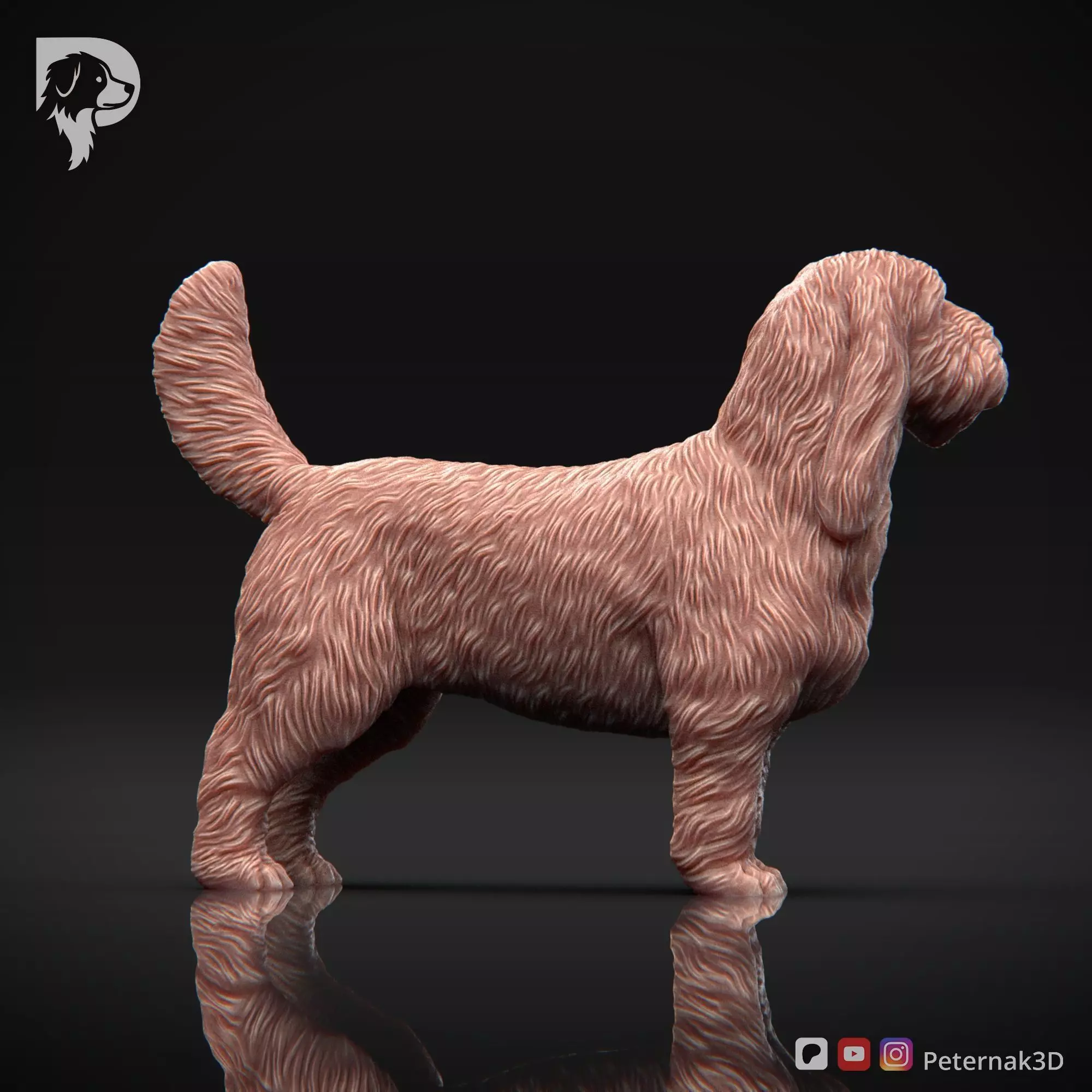 Dog 3D Print Model Basset Griffon Vendeen Grand Pose 02 STL 3D print model_4