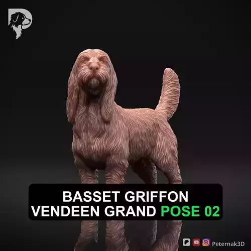 Dog 3D Print Model Basset Griffon Vendeen Grand Pose 02 STL
