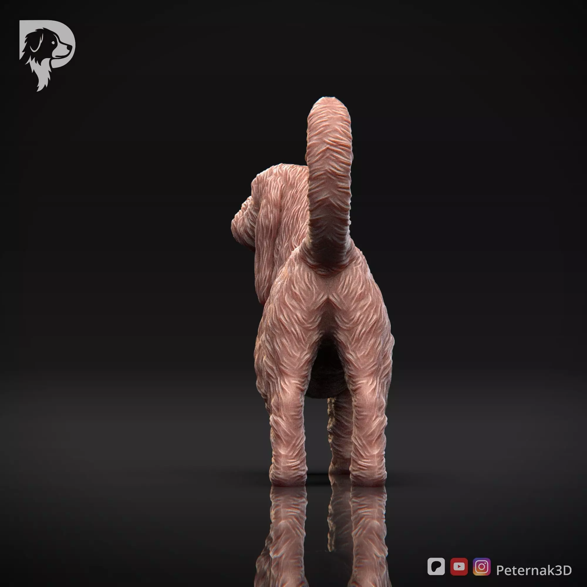 Dog 3D Print Model Basset Griffon Vendeen Grand Pose 02 STL 3D print model_7