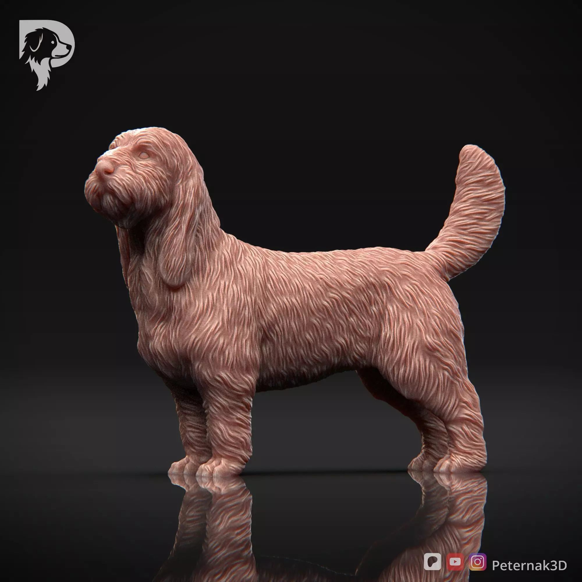 Dog 3D Print Model Basset Griffon Vendeen Grand Pose 02 STL 3D print model_10