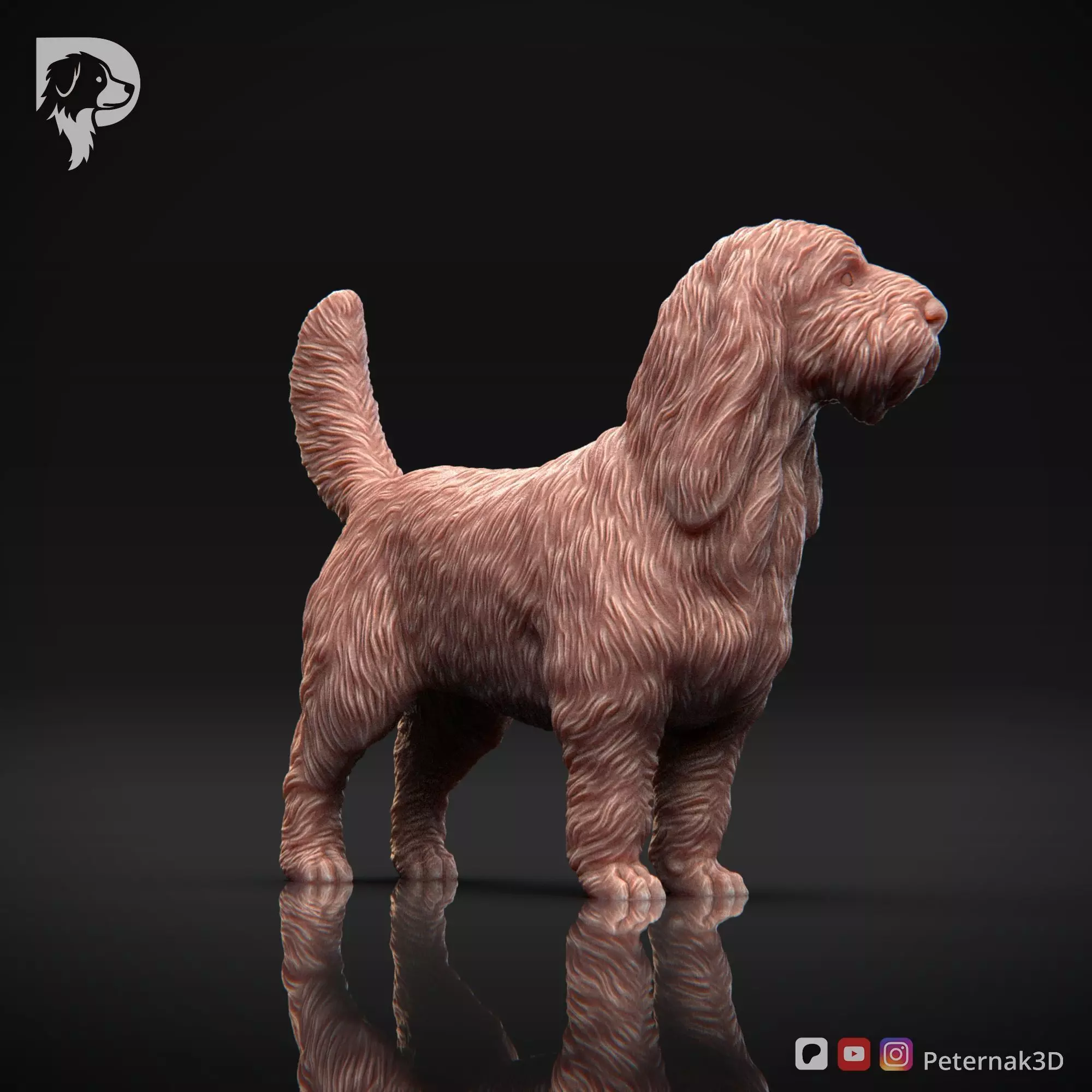 Dog 3D Print Model Basset Griffon Vendeen Grand Pose 02 STL 3D print model_3