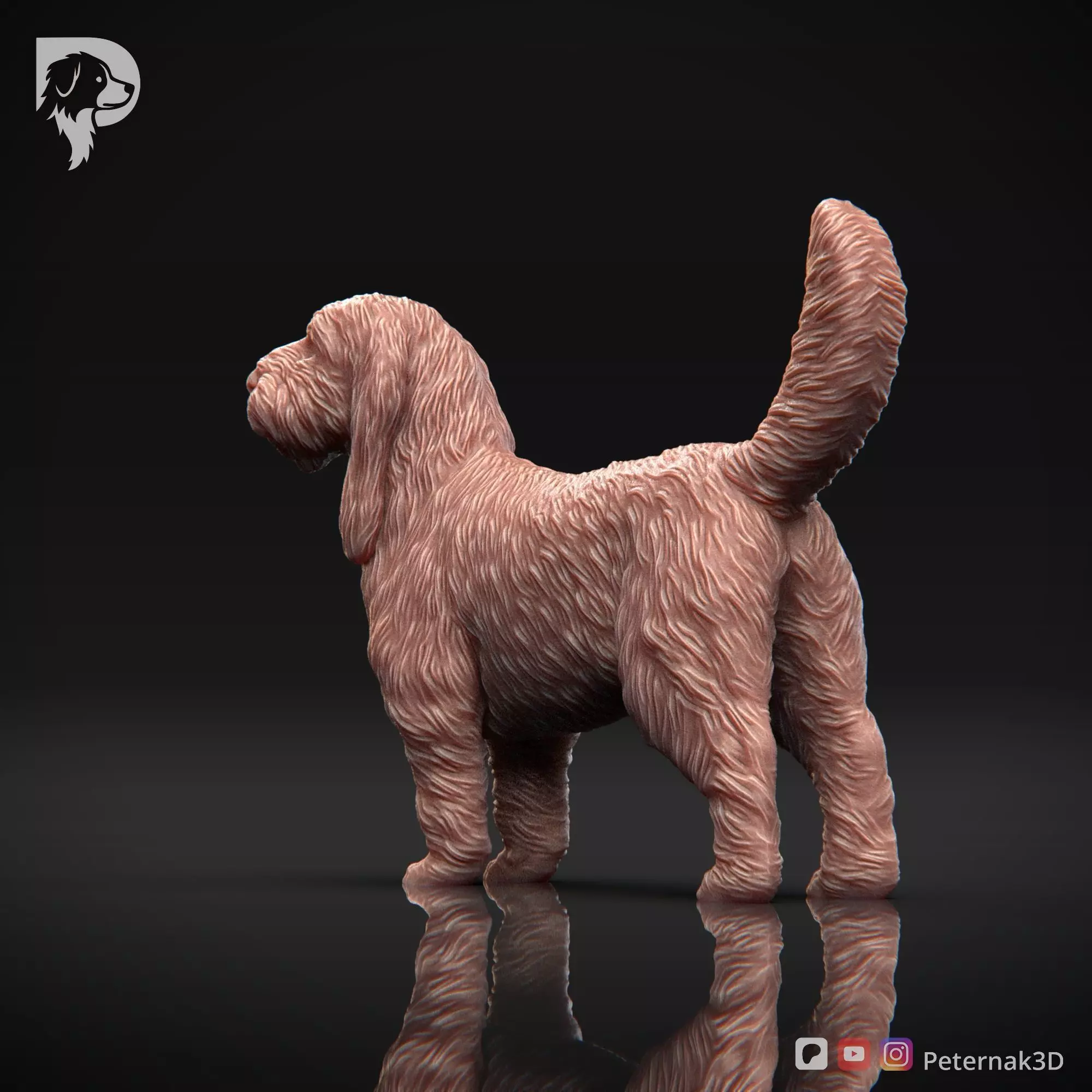 Dog 3D Print Model Basset Griffon Vendeen Grand Pose 02 STL 3D print model_8